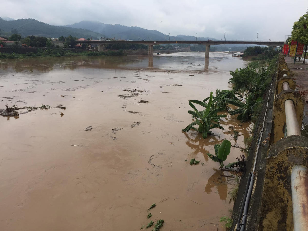Cận cảnh lũ sông Hồng. 