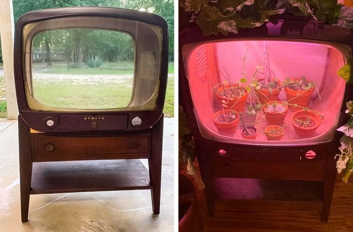 “Tôi tìm thấy chiếc TV Zenith cổ điển này trên Facebook Marketplace. Tôi muốn đưa ánh sáng và cây cối vào".