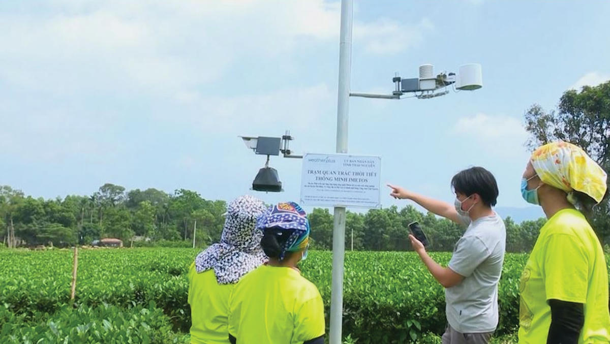 Trạm quan trắc thời tiết thông minh metos phục vụ việc chăm sóc sự sinh trưởng và phát triển của cây chè Thái Nguyên.