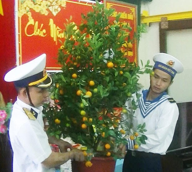Các chiến sỹ chăm sóc quất trên nhà giàn. (Ảnh: Quang Vinh/Vietnam+).
