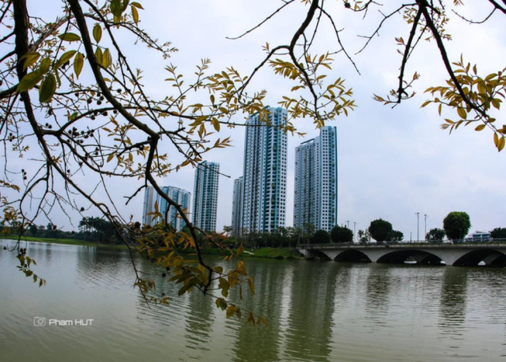 Giảng viên đại học gây bão với những bức ảnh chụp tại “thành phố xanh”