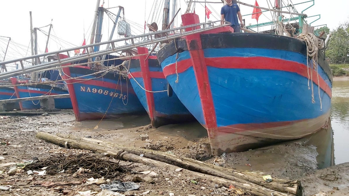 Chùm ảnh: Tàu thuyền nằm bờ vì xăng dầu liên tục lập đỉnh