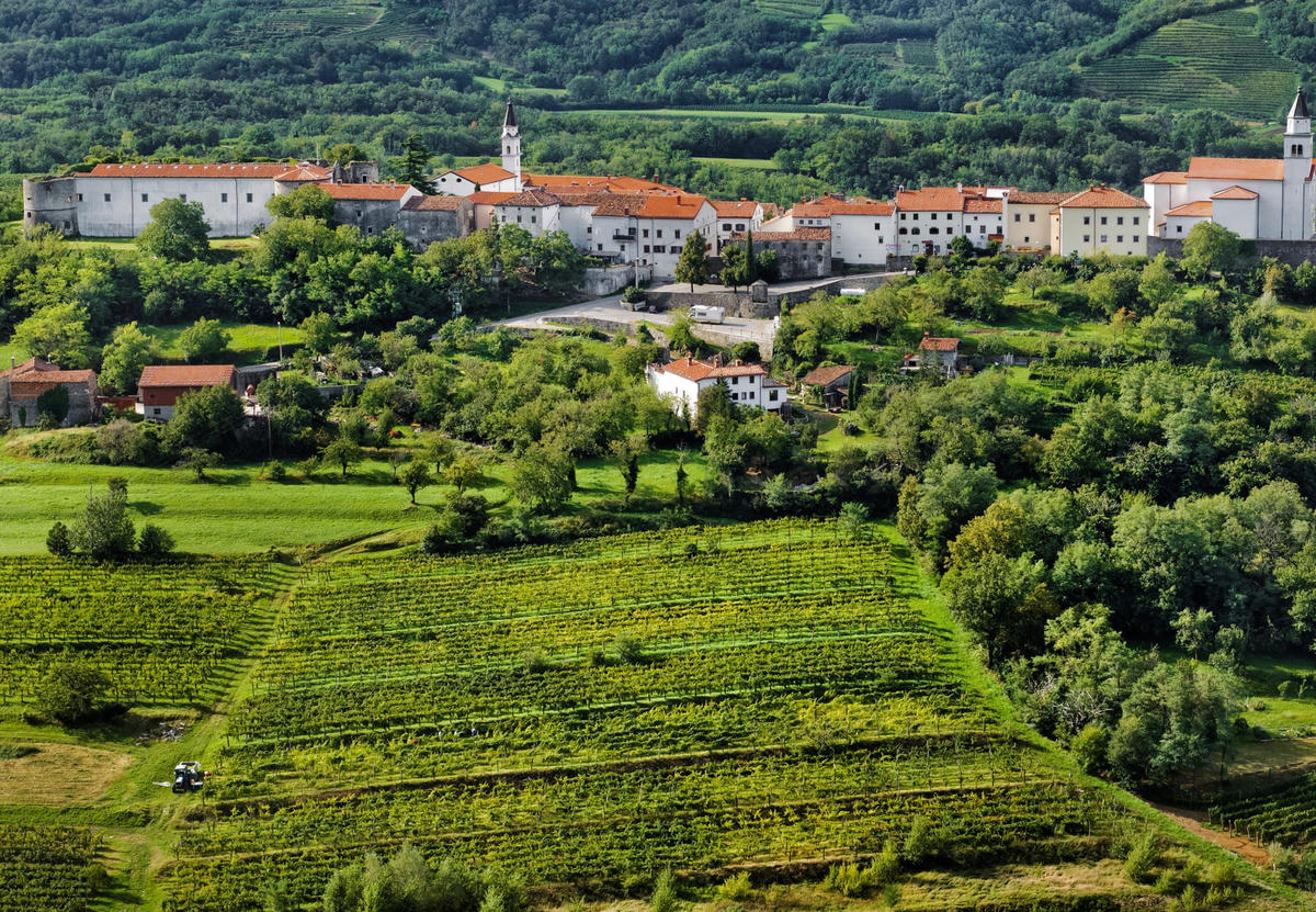 Ngôi làng cổ tuyệt đẹp ở Thung lũng Vipava, Slovenia. Ảnh: Travel Slovenia.