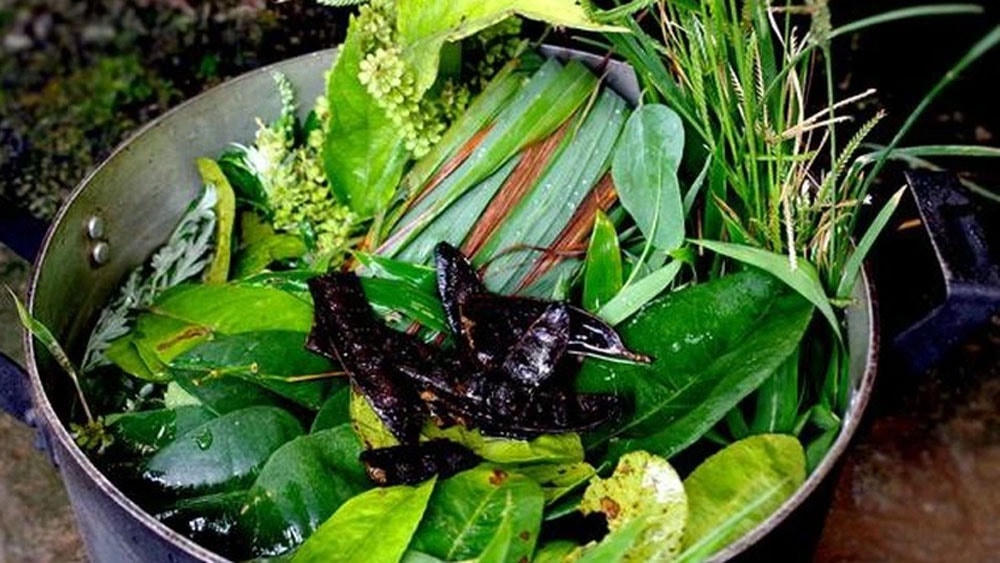 Người bệnh Covid-19 có thể tận dụng nồi lá xông, xông xong rồi tắm nhanh trong 5 – 10 phút.