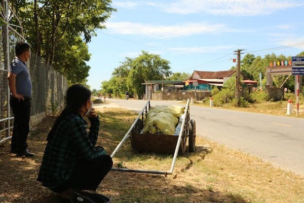 Bưởi đến mùa thu hoạch nhưng thương lái vắng bóng.