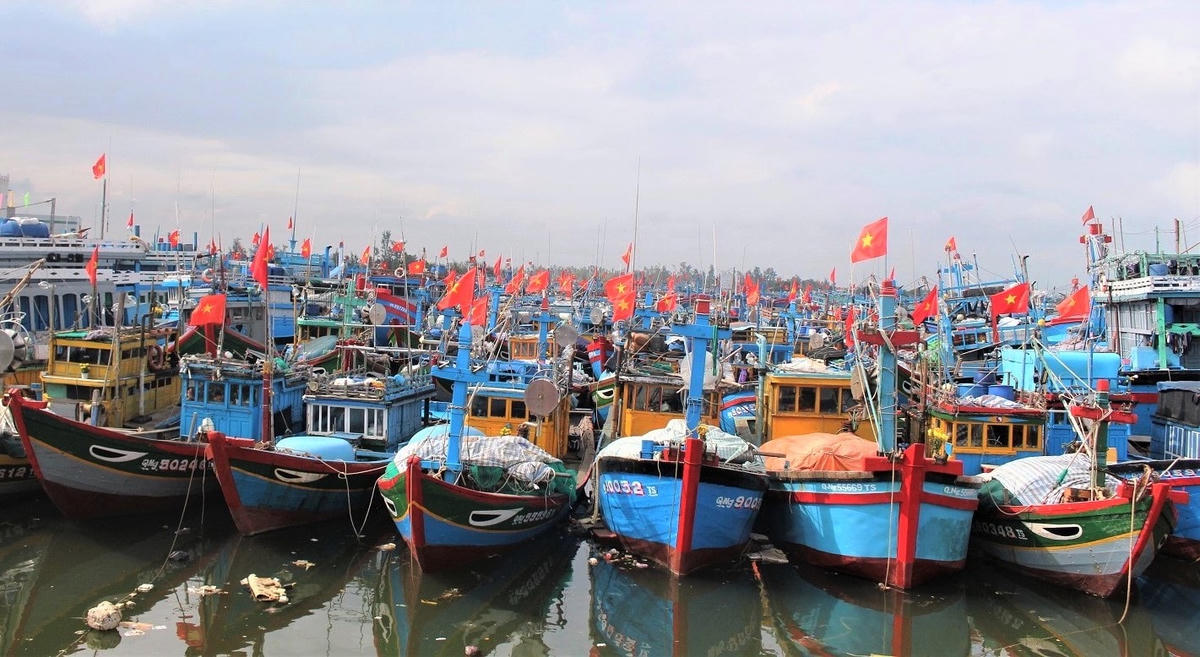 Tàu thuyền Quảng Ngãi vào bờ trú tránh bão an toàn.