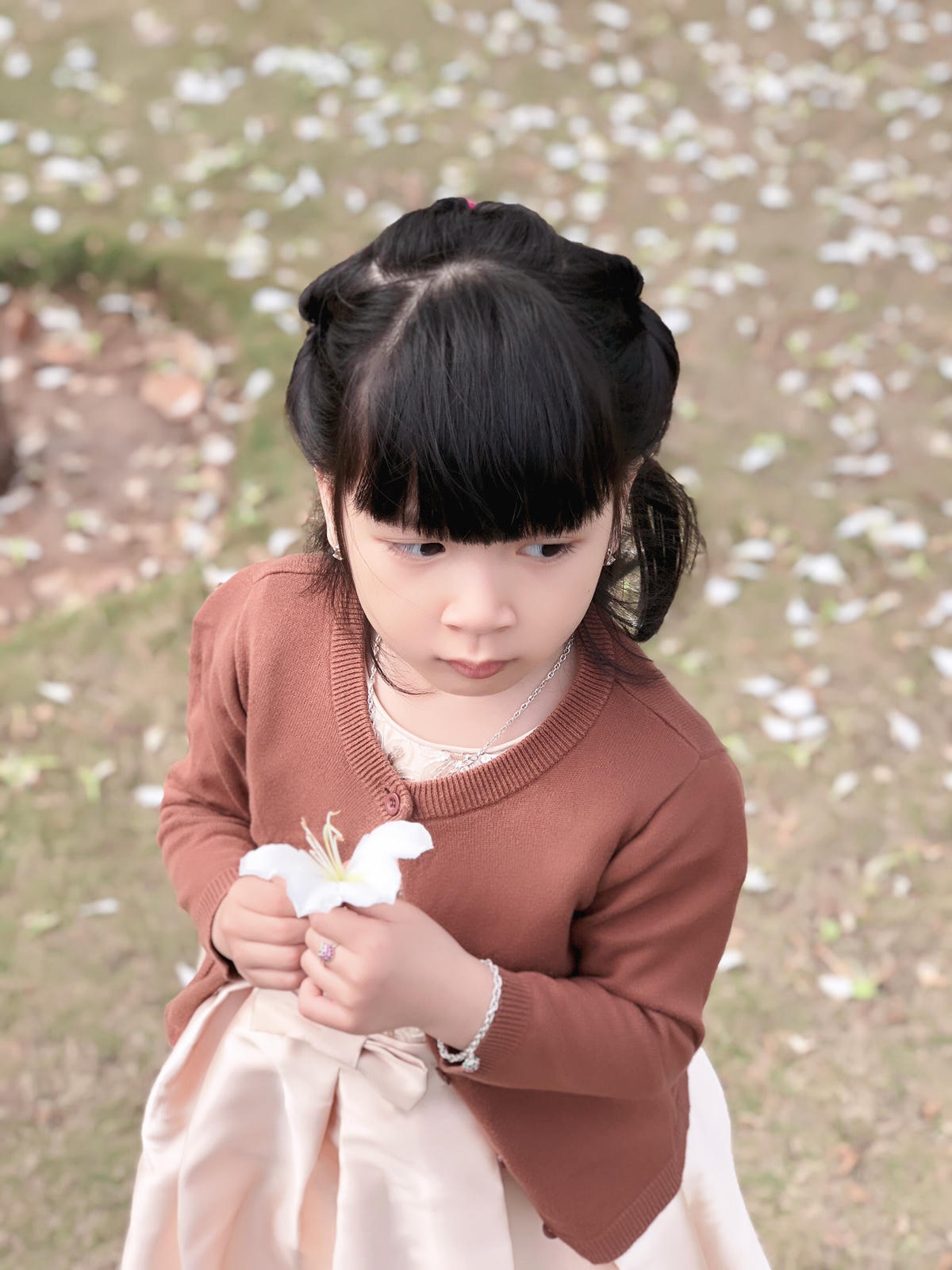 Có một chút gì đó ngây thơ và trong trắng như hoa ban…