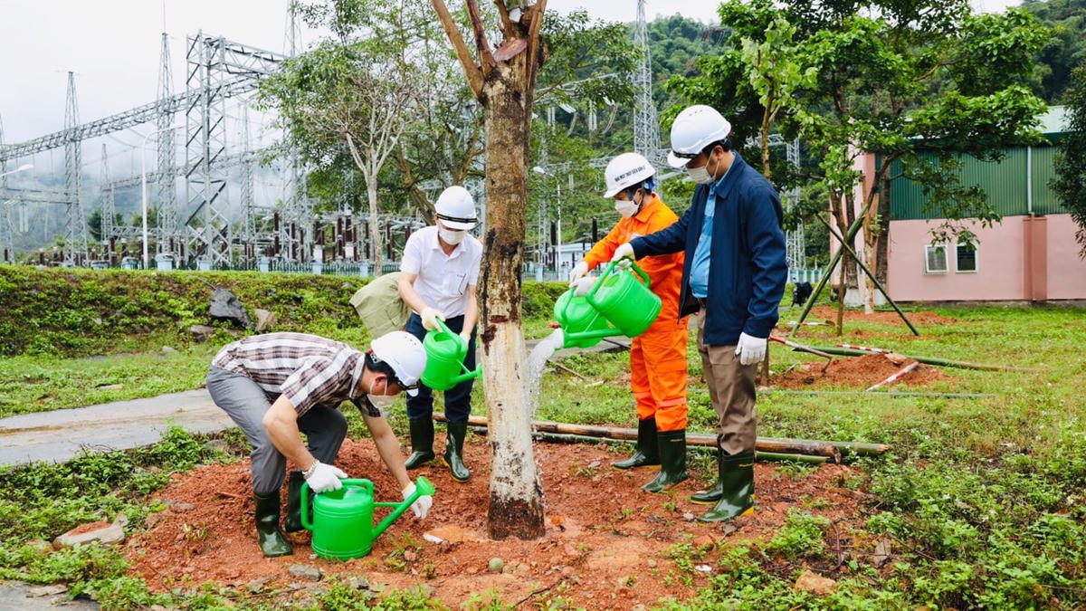 Hơn 40 ngàn con cá được thả xuống lòng hồ thủy điện Bản Vẽ