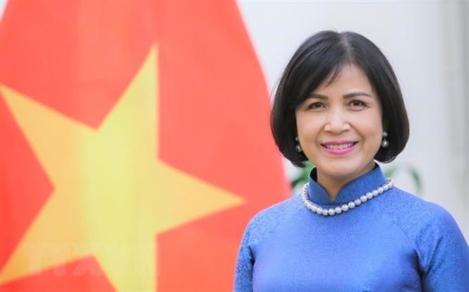 Đại sứ Lê Thị Tuyết Mai, Trưởng Phái đoàn Việt Nam tại Geneva làm Trưởng đoàn đàm phán. (Ảnh: Tố Uyên/TTXVN).