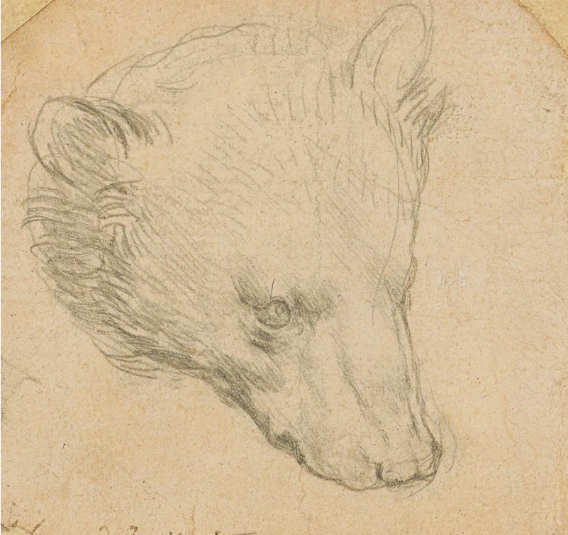 Phác họa 'Đầu gấu' của Leonardo da Vinci với mức giá không tưởng