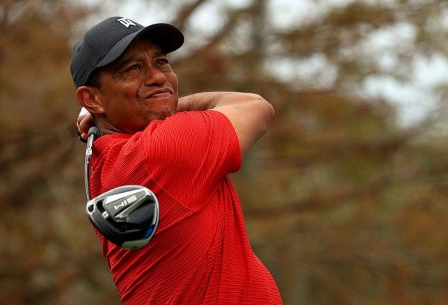 Gold thủ Tiger Woods. Ảnh: Getty Images.  