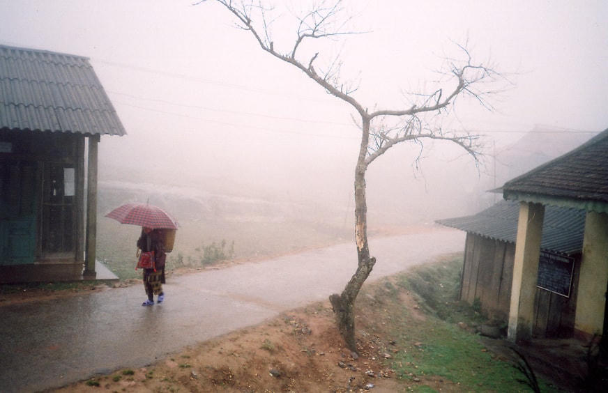 Ảnh: Hoàng Thu Phố.