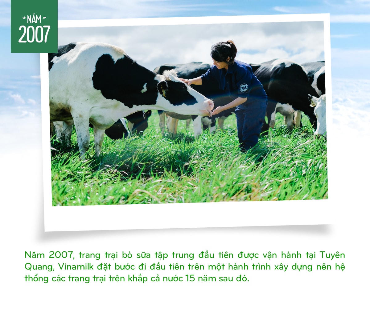 Vinamilk: 15 năm xây hệ thống trang trại bò sữa với 'bộ sưu tập' tiêu chuẩn quốc tế