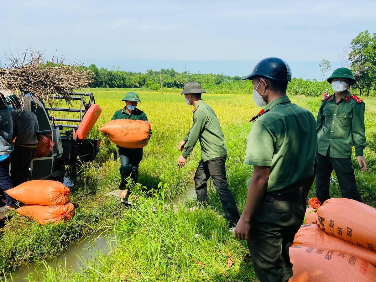 Lực lượng Công an Như Thanh vác lúa lên bờ để đưa về nhà dân.