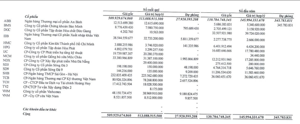 Danh mục đầu tư của NDN. Ảnh chụp báo cáo tài chính. 