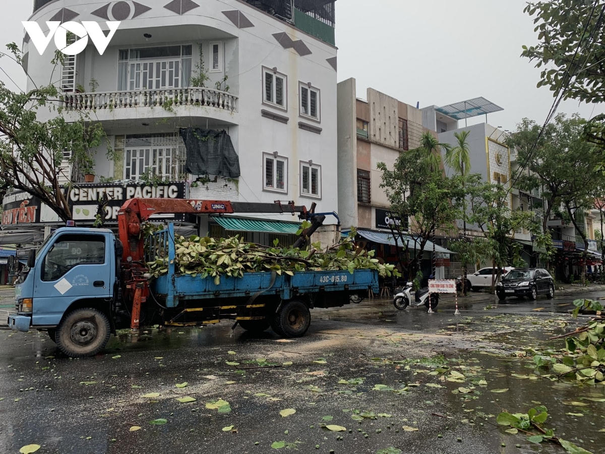 Thiệt hại ghi nhận ban đầu là cây đổ tại nhiều điểm trong thành phố.  