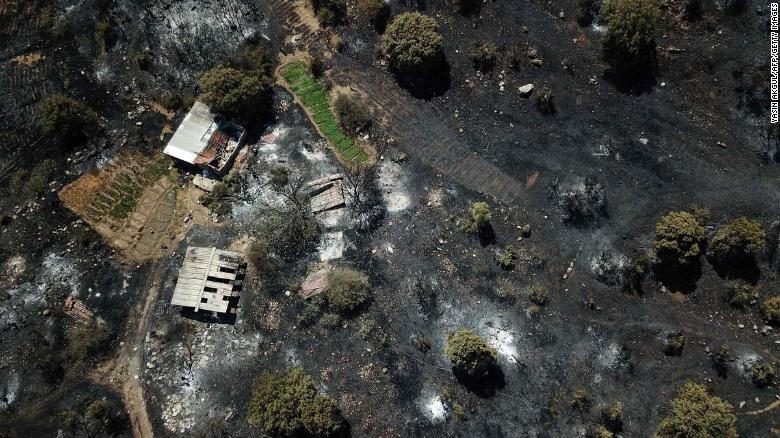 Tàn dư của đám cháy tại Mugla, Thổ Nhĩ Kỳ. (Ảnh: CNN).