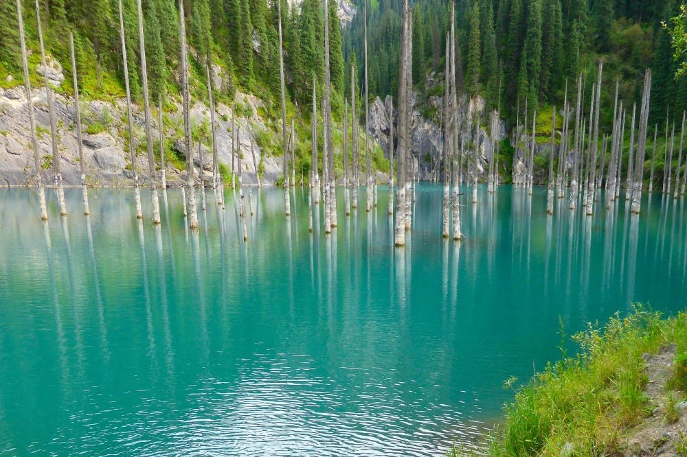 Khu rừng mọc ngược trong hồ Kaindy, Kazakhstan. (Nguồn: B.S).