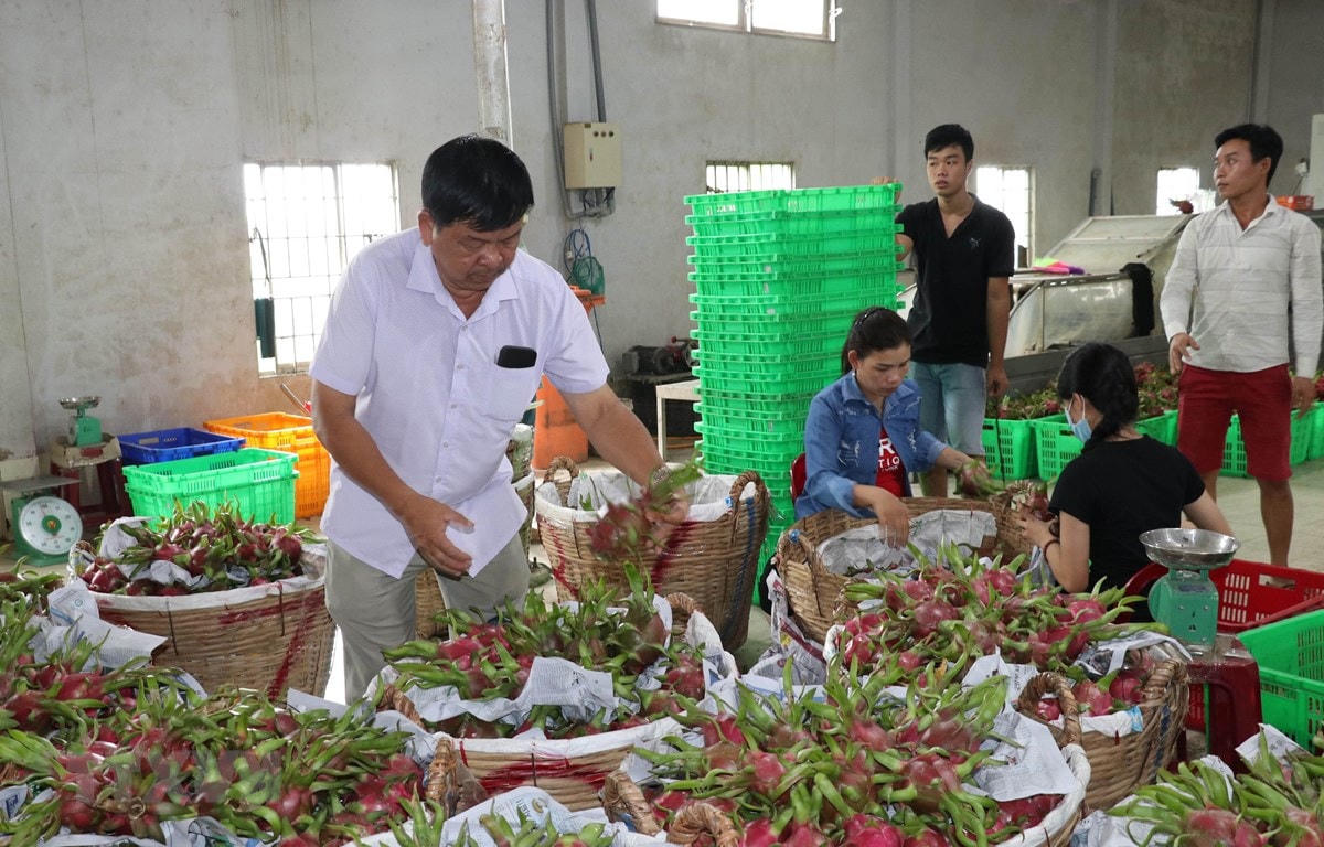 Năm 2020, xuất khẩu nông, lâm, thủy sản đạt 41,25 tỷ USD.