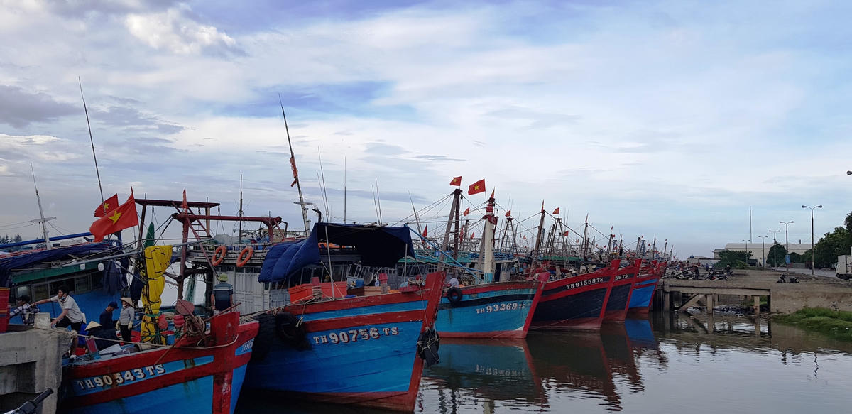 Hiện toàn tỉnh Thanh Hóa vẫn còn hơn 3.200 lao động và hàng trăm tàu cá của ngư dân chưa vào nơi tránh trú an toàn.
