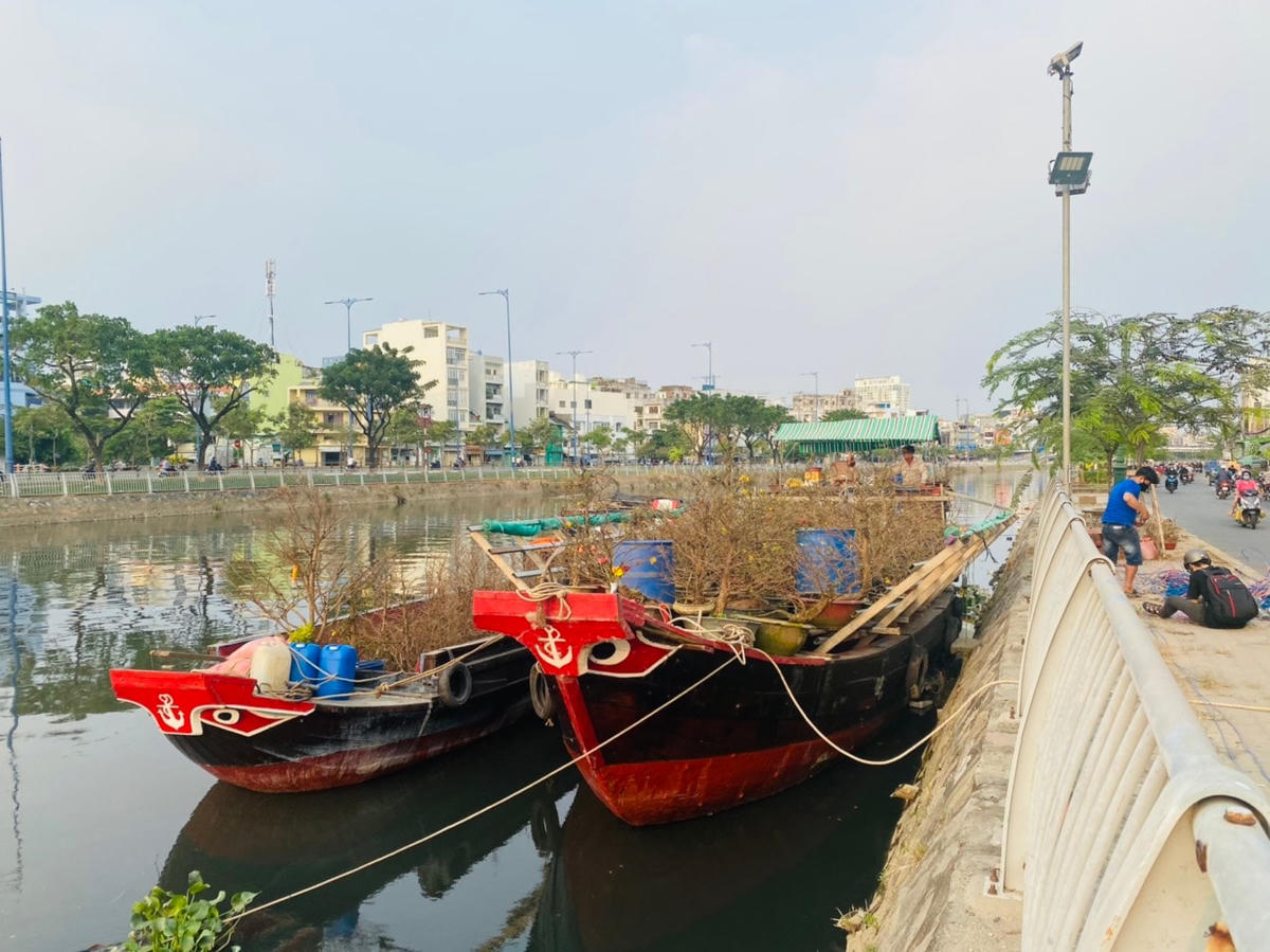 Những ghe hiếm hỏi ở khu chợ đặc sắc nhất của TPHCM