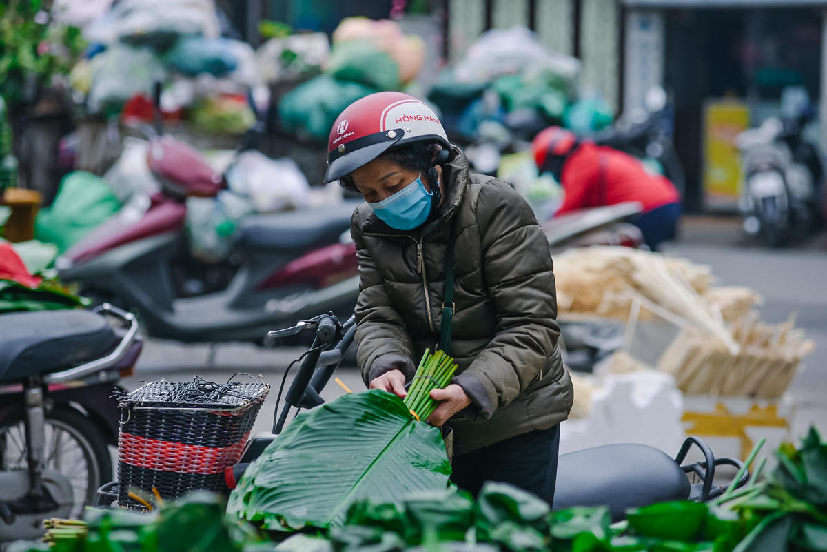 Bà Nguyễn Thị Tú (Đống Đa, Hà Nội) chia sẻ: “Nhà tôi thường tự gói bánh chưng để bày tỏ lòng thành đến ông bà tổ tiên mỗi khi Tết đến. Do vậy, năm nào tôi cũng đến chợ lựa chọn những bó lá đẹp nhất để mua về gói bánh”.