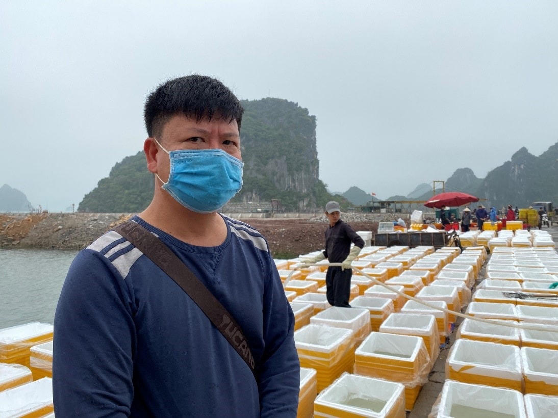 Quảng Ninh: Tìm đầu ra cho nhuyễn thể Vân Đồn