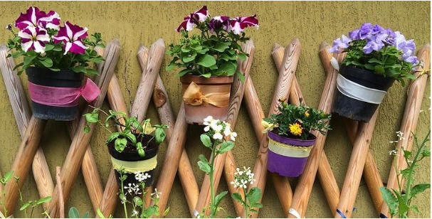 [ẢNH] 19 cách để trồng một khu vườn đẹp trong nhà của bạn