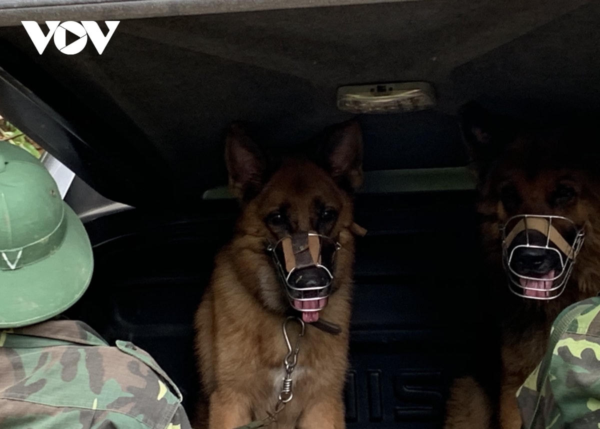Với sự hỗ trợ của chó nghiệp vụ, tốc độ tìm kiếm các nạn nhân còn mất tích sau vụ sạt lở tại Trà Leng hy vọng được đẩy nhanh trước khi khu vực tìm kiếm được dự báo sẽ lại có mưa lớn trong thời gian tới.  