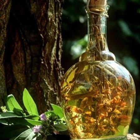 Rượu dâm dương hoắc rất tốt cho người bị phong thấp, nam giới liệt dương di tinh.