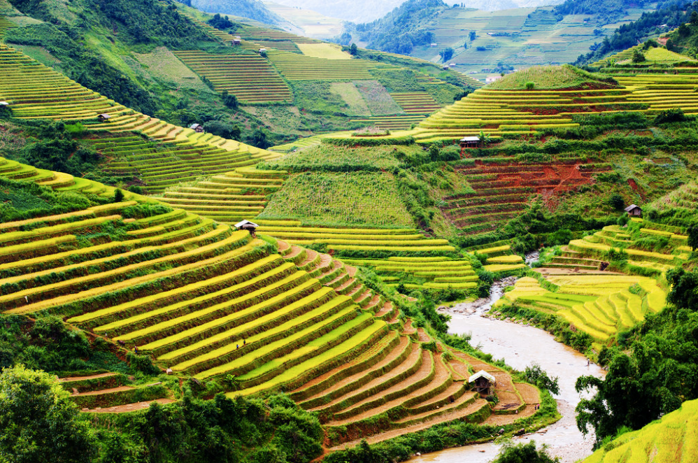 Ruộng bậc thang tại Mù Cang Chải, Việt Nam. (Nguồn: B.S).