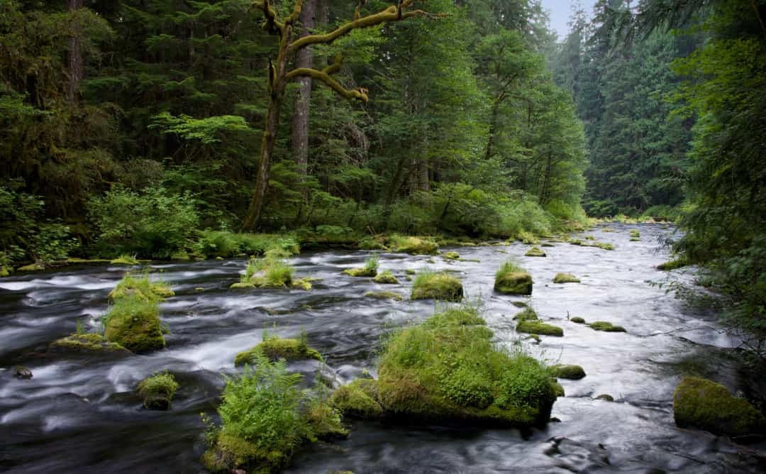 [ẢNH] Chiêm ngưỡng những dòng sông dài nhất trên Trái đất