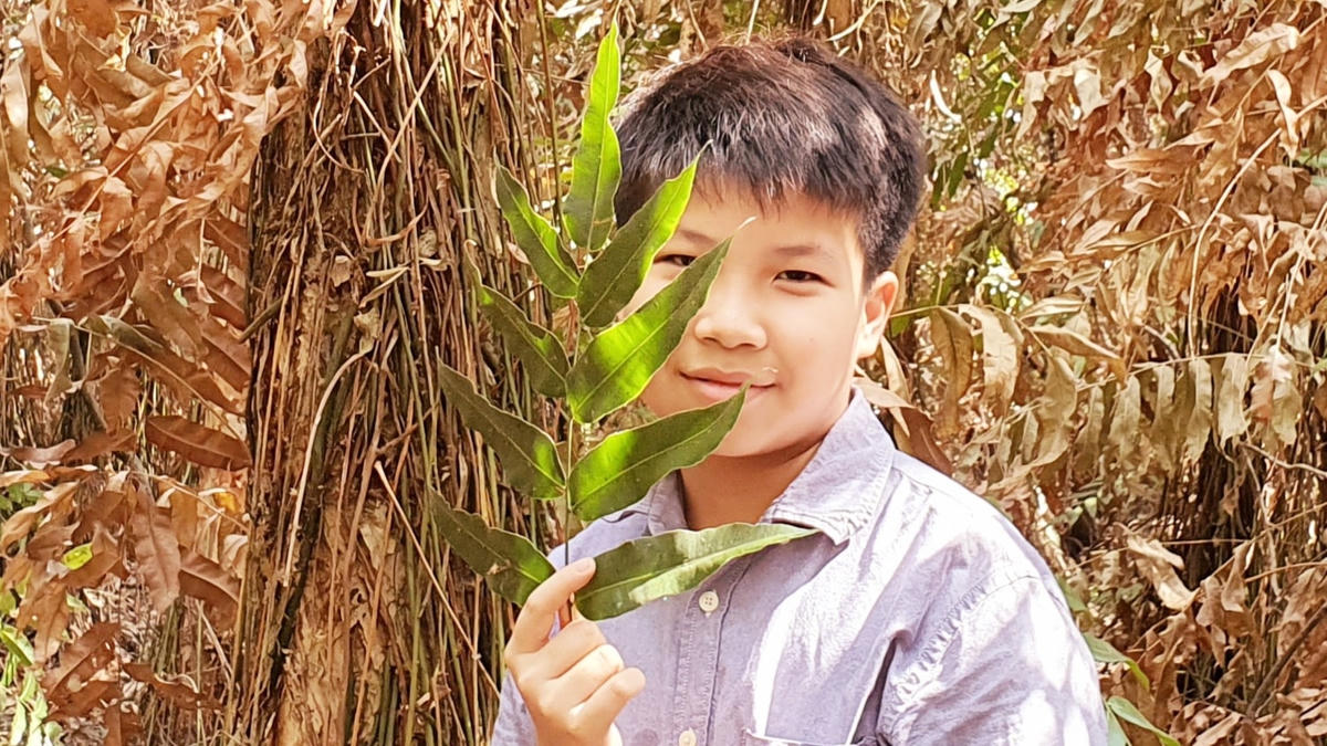 Tác giả Cao Khải An.