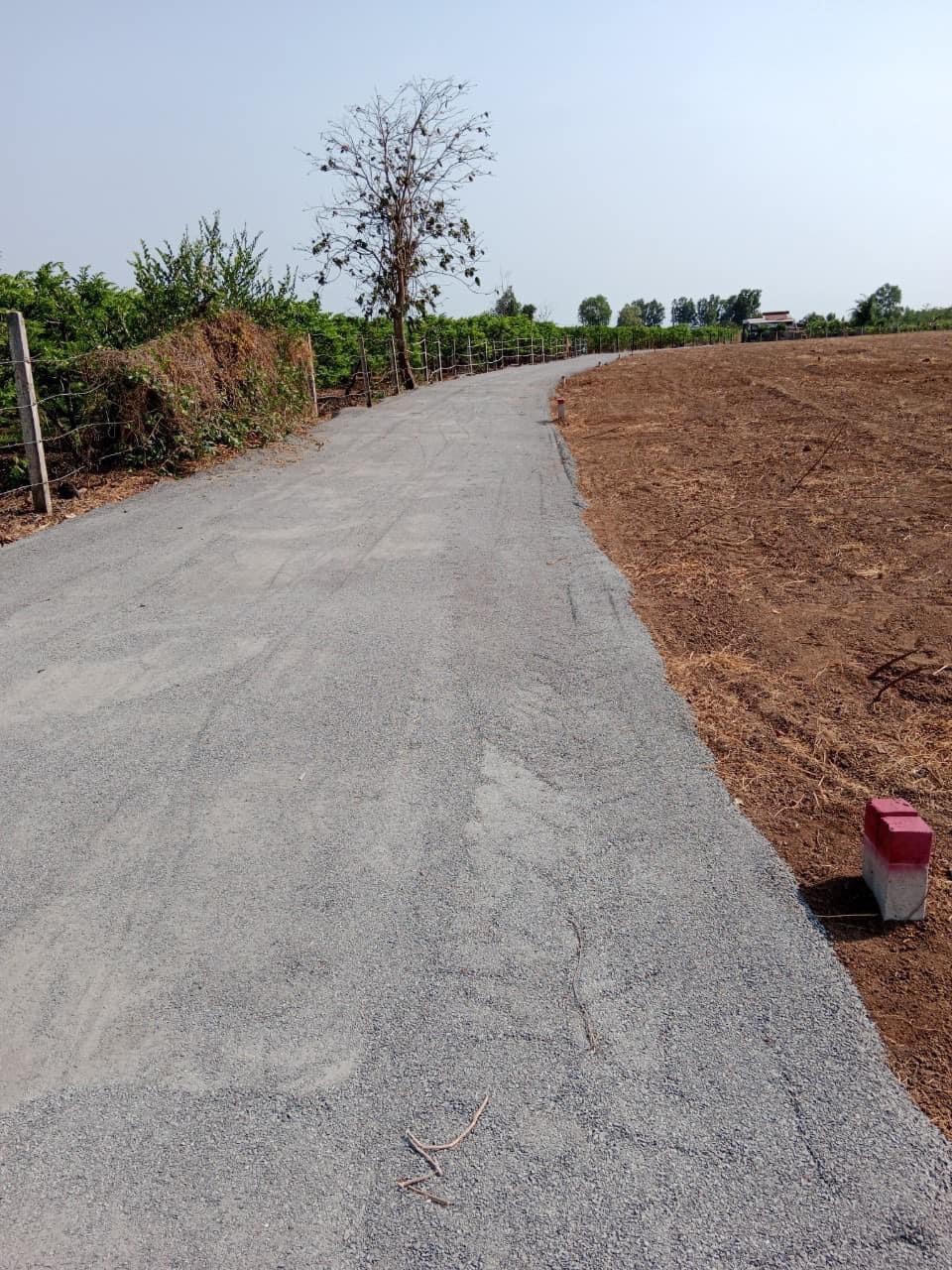 Thửa đất số 19, tờ bản đồ số 31 tại xã Long Tân, huyện Đất Đỏ, chủ đất làm đường để tách thửa.