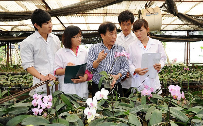 GS Nguyễn Quang Thạch hướng dẫn sinh viên tại vườn ươm của Viện Nghiên cứu sinh học nông nghiệp (Học viện Nông nghiệp).  