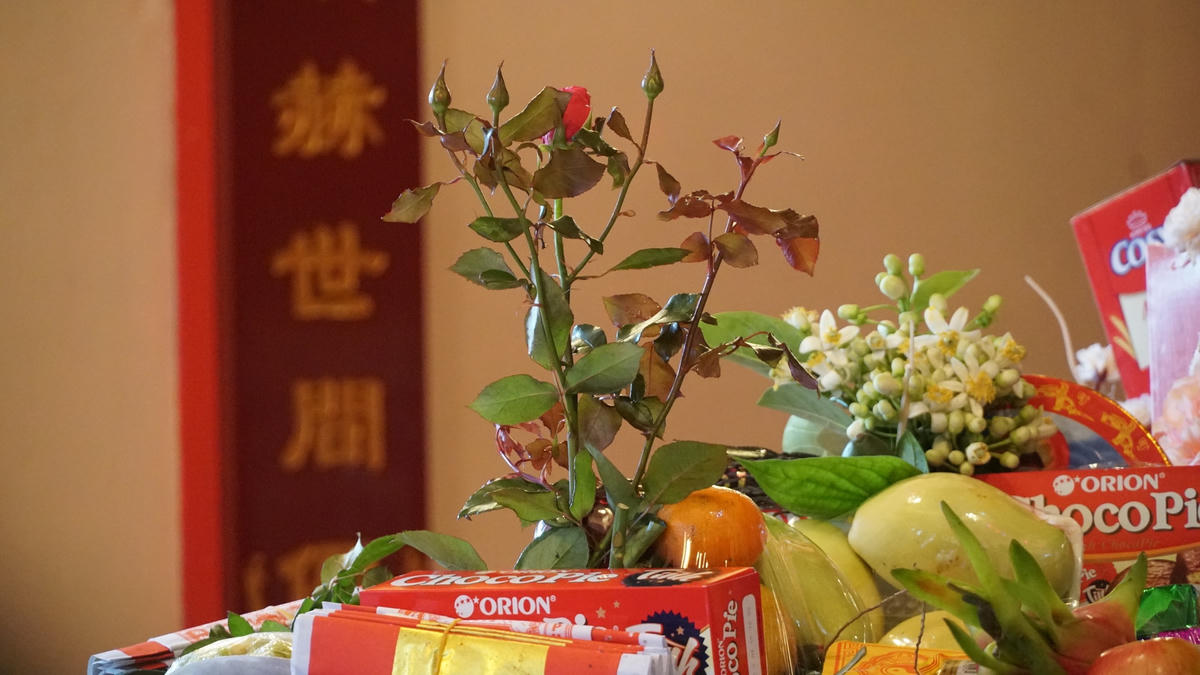 Phủ Tây Hồ đã bắt đầu mở cửa từ ngày hôm nay, 9/2.