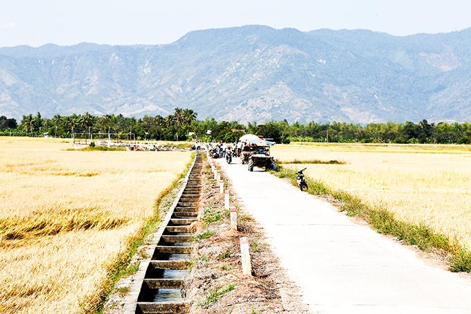 Đường bê tông nội đồng sạch sẻ, rộng rãi tại xã Diên Thạnh (huyện Diên Khánh).
