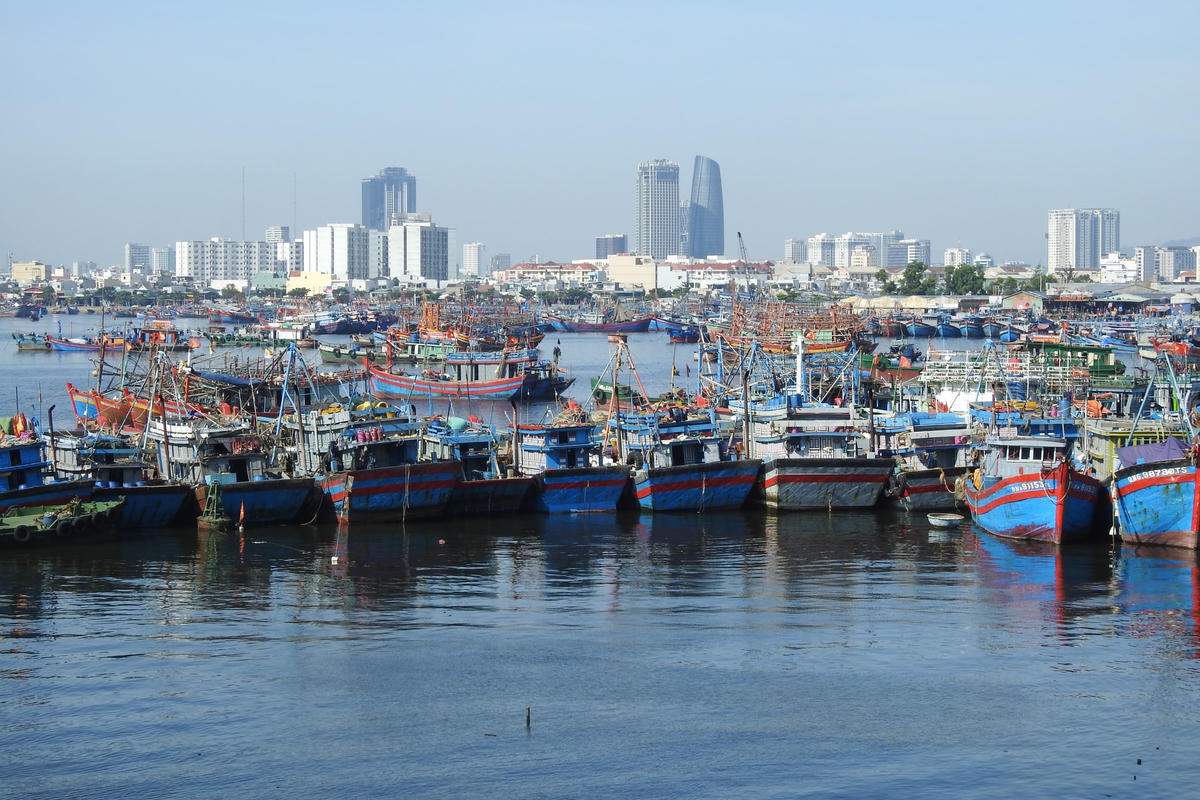 Cảng cá Thọ Quang (Đà Nẵng) đóng cửa khẩn cấp do có 5 BN Covid-19 từ Quảng Ngãi ra thu mua hải sản. Ảnh B.Nguyên.