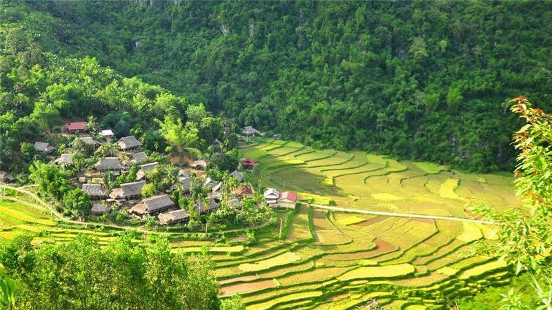 Những nếp nhà sàn truyền thống của người Thái nằm sát ruộng bậc thang.