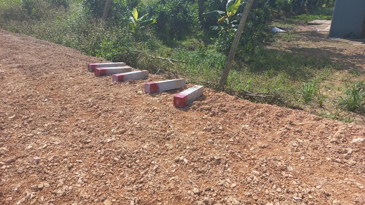 Các cọc phân định ranh giới được vứt bỏ lăn lóc phía trong các lô đất.
