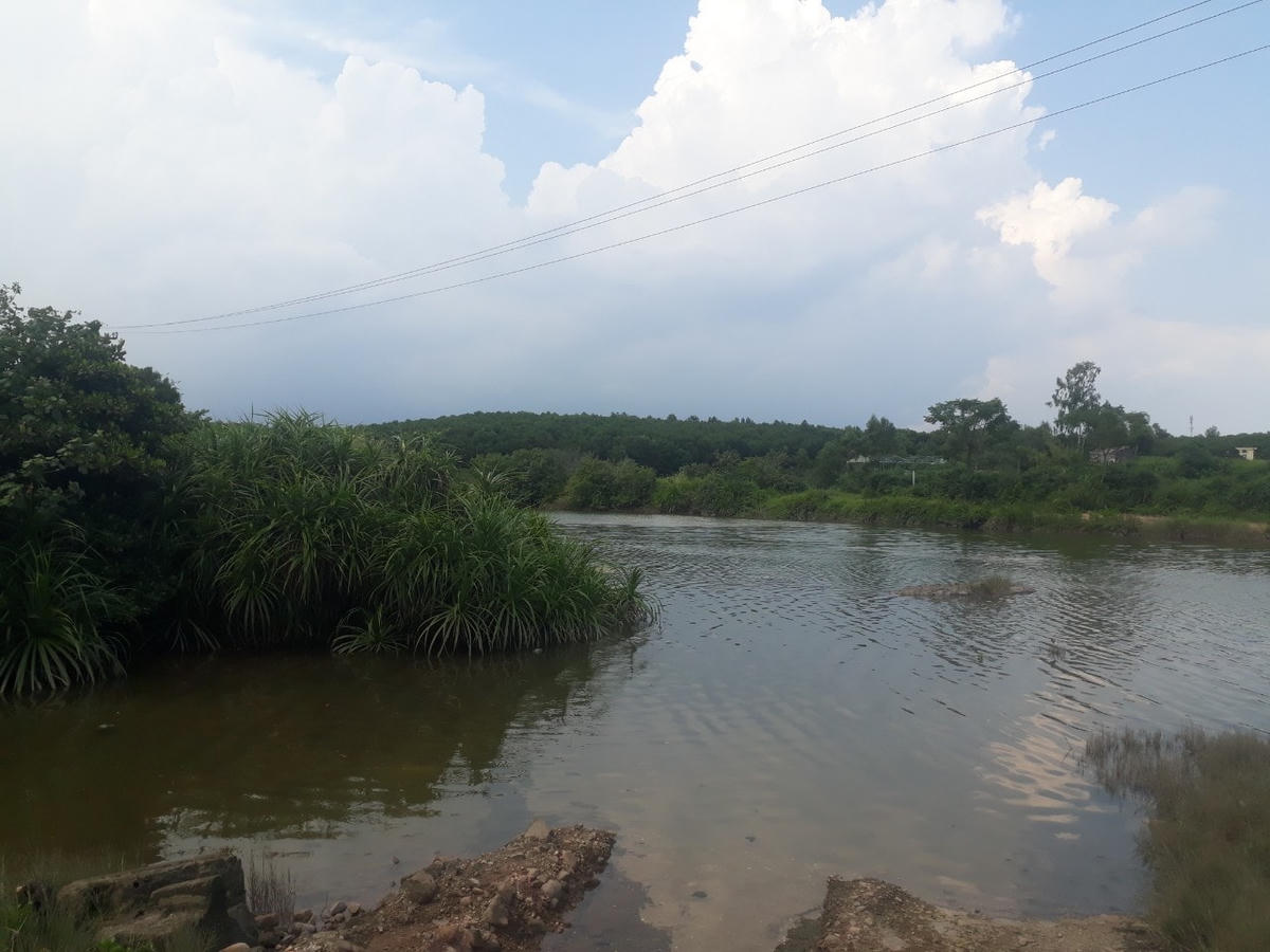 Khu vực tìm thấy thi thể nạn nhân.