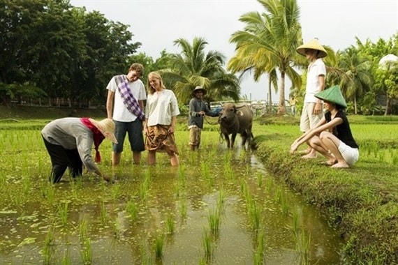 Du lịch và phát triển nông thôn