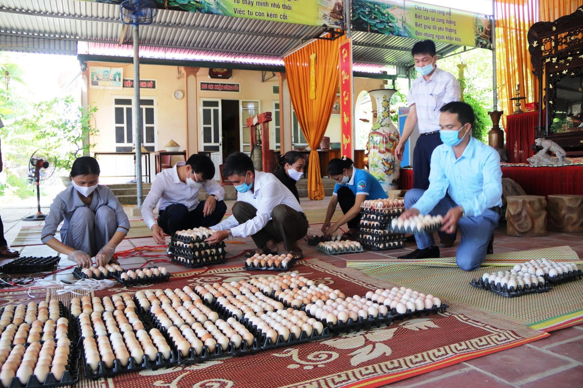 Ngay sau lễ triển khai, chùa Vạn Linh, xã Quảng Văn (huyện Quảng Xương, Thanh Hóa) đã vận động hỗ trợ 10 ngàn quả trứng gà và nhiều nhu yếu phẩm thiết yếu cho người dân TP Hồ Chí Minh.