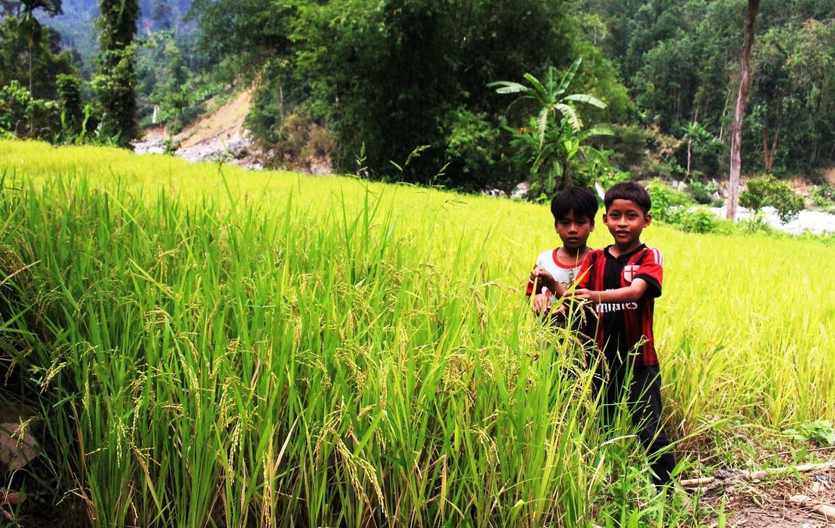 Những đứa trẻ ở Trà Leng.  