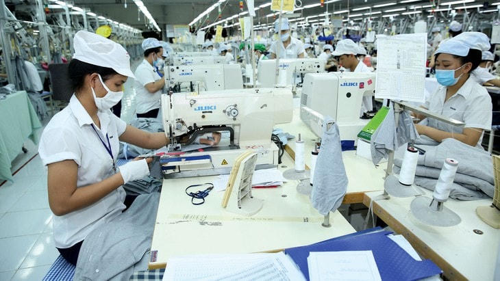 Nhiều mặt hàng do Việt Nam sản xuất đã khẳng định vị trí tại nhiều thị trường quốc tế.