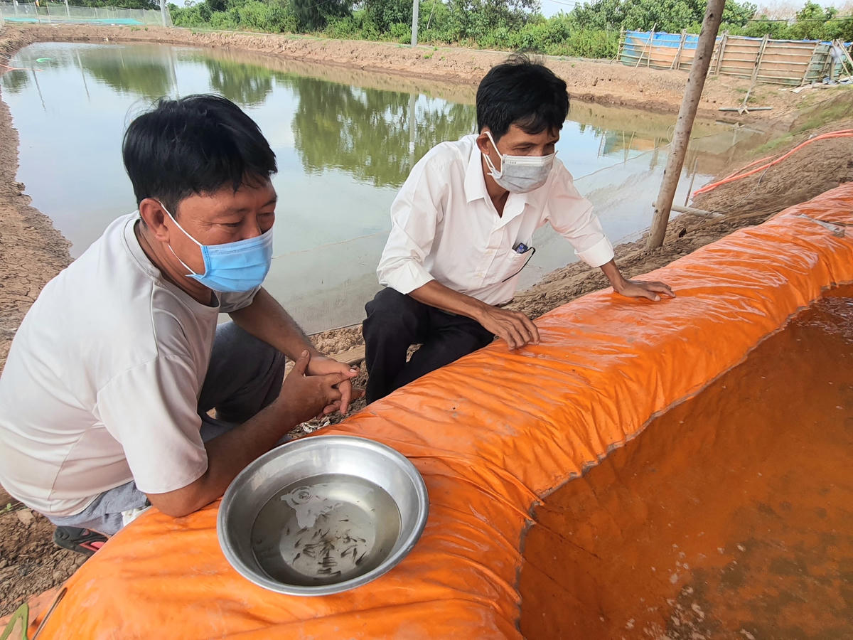 Mô hình nhân giống và nuôi thành công cá chốt đã mở ra một hướng đi mới trong sản xuất cho người dân.