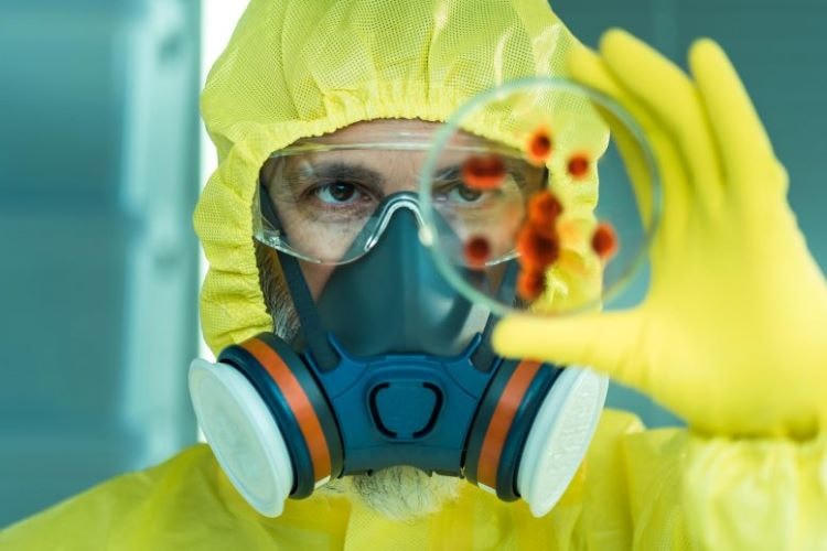 Các nhà nghiên cứu vừa phát hiện một loại virus hiếm gặp lây truyền từ người sang người tại Bolivia. Ảnh: Scitechdaily.