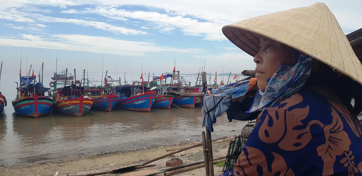 Họ chờ đợi những chuyến tàu nặng cá về bến.