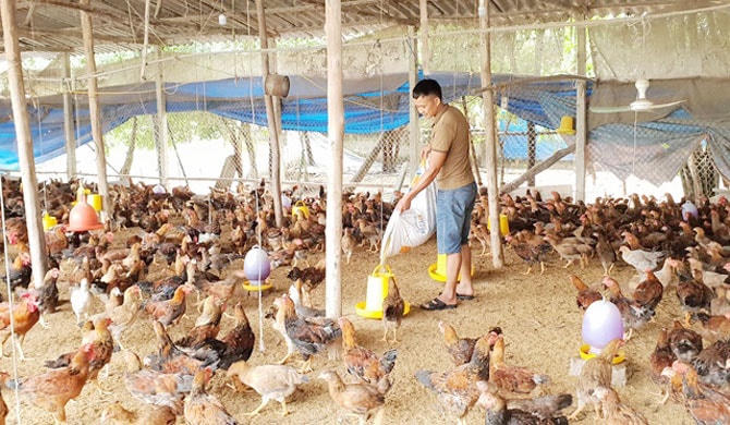 Nguồn vốn cho vay phát huy hiệu quả giúp cho người nghèo có thêm nhiều cơ hội vươn lên.