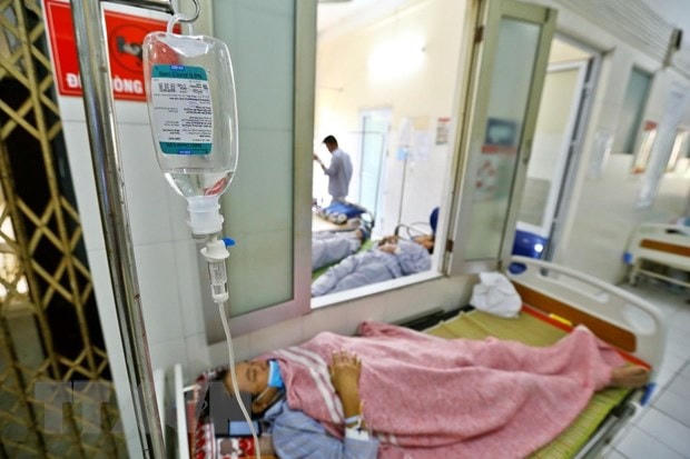 Bệnh nhân điều trị sốt xuất huyết tại khoa Virut ký sinh trùng (Bệnh viện Bệnh Nhiệt đới Trung ương). Ảnh: TTXVN.